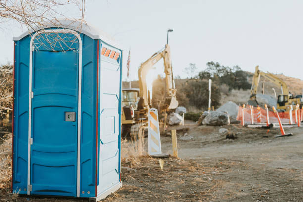 Best Affordable portable toilet rental  in Frankenmuth, MI