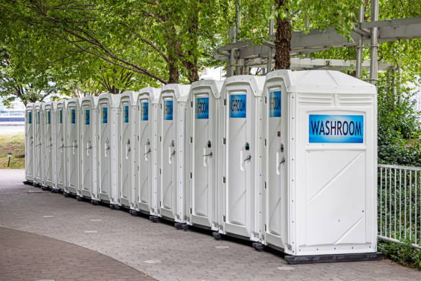 Best Luxury portable toilet rental  in Frankenmuth, MI